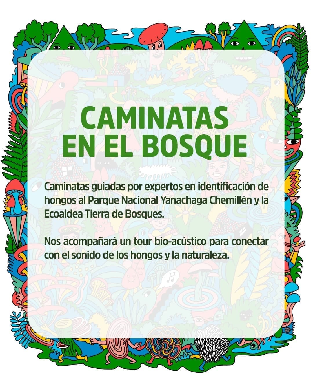 Caminatas en el Bosque